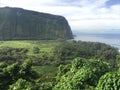 Scenic cliffs and ocean at WaipiÃ¢â¬â¢o Valley on the Big Island of Hawaii